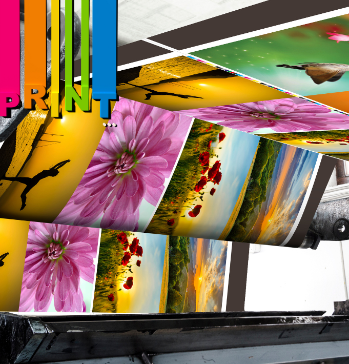 Vinyl Printing Services in Jayanagar